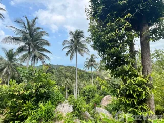 出售 土地 在 Koh Phangan, 素叻