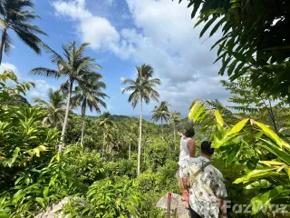 出售 土地 在 Koh Phangan, 素叻