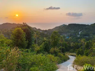 出售 土地 在 Koh Phangan, 素叻