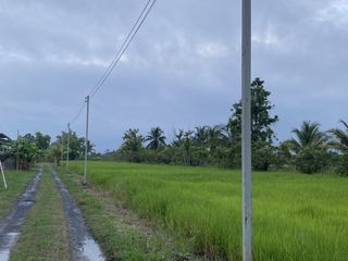 For sale land in Hang Dong, Chiang Mai