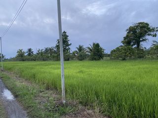 For sale land in Hang Dong, Chiang Mai
