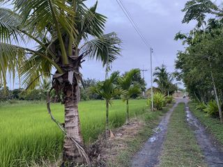 For sale land in Hang Dong, Chiang Mai