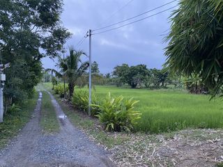For sale land in Hang Dong, Chiang Mai
