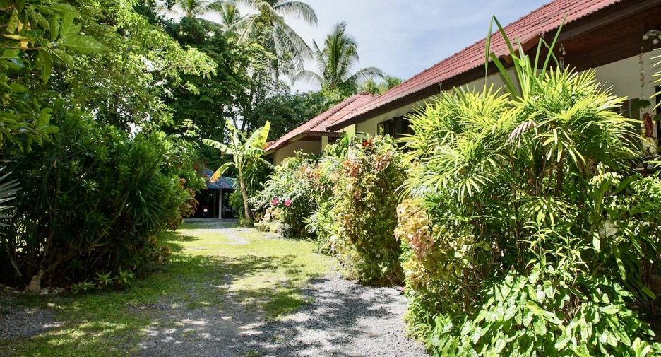 For sale land in Ko Samui, Surat Thani