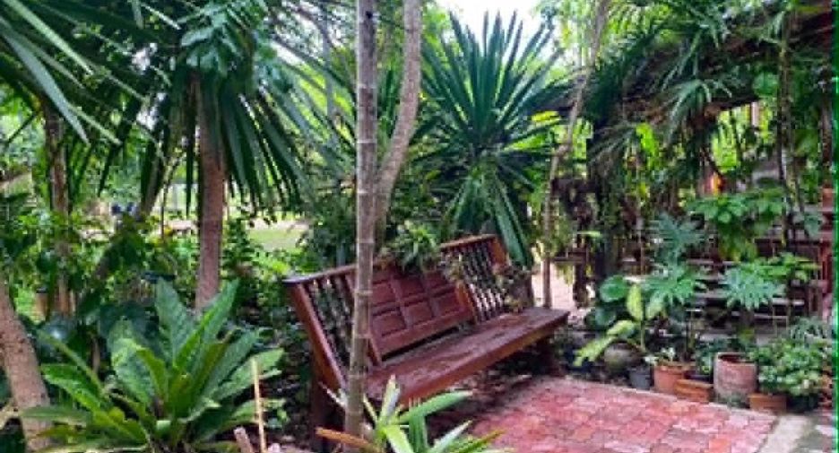 Casa en venta y en alquiler de 3 habitaciones en Doi Saket, Chiang Mai