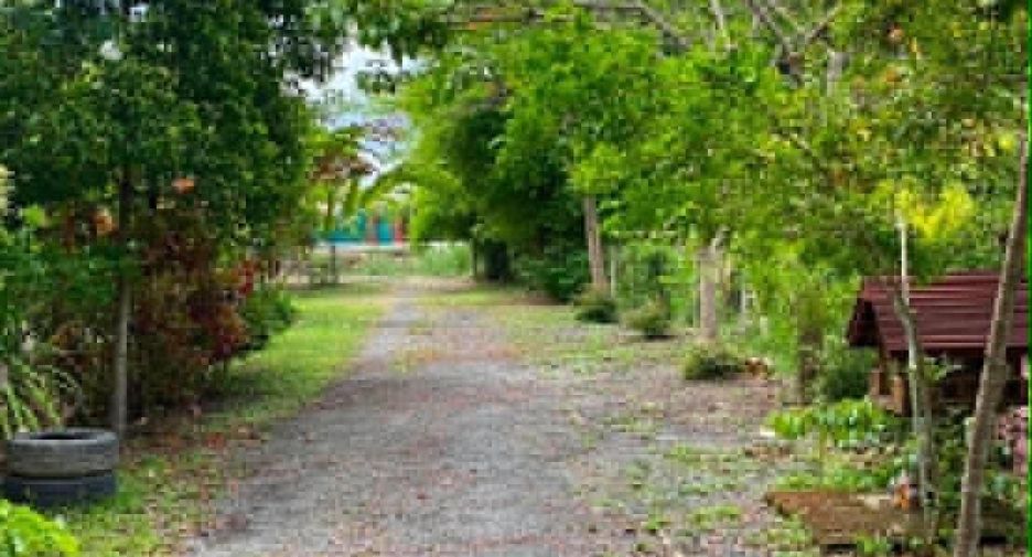 Casa en venta y en alquiler de 3 habitaciones en Doi Saket, Chiang Mai