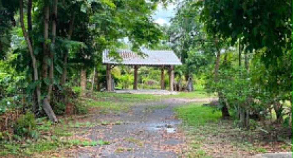 Casa en venta y en alquiler de 3 habitaciones en Doi Saket, Chiang Mai