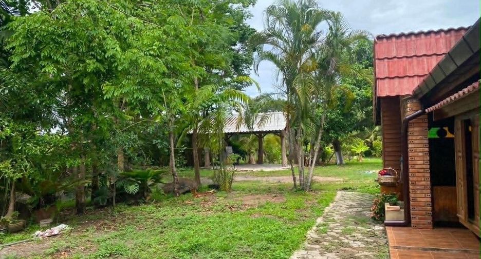 Casa en venta y en alquiler de 3 habitaciones en Doi Saket, Chiang Mai