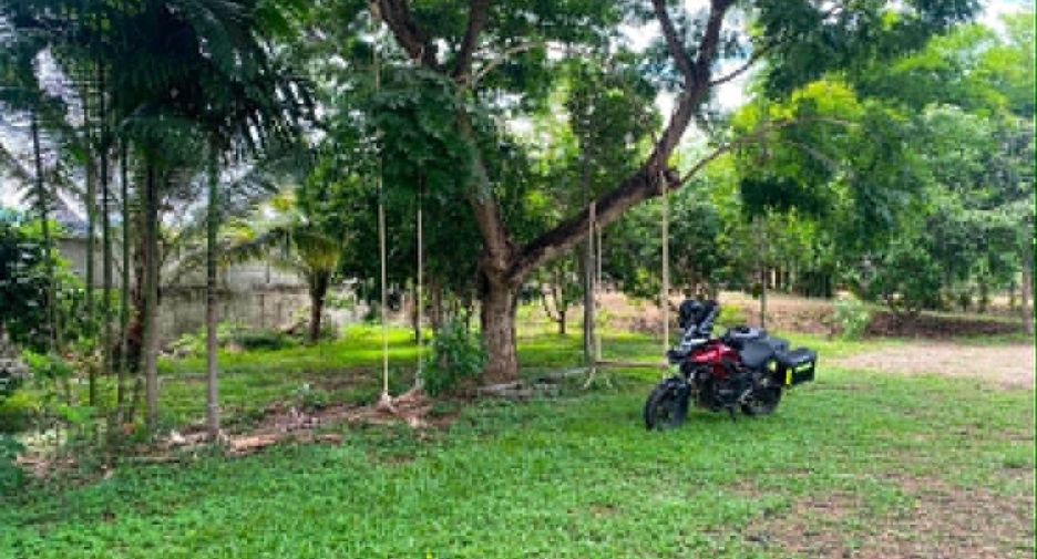 Casa en venta y en alquiler de 3 habitaciones en Doi Saket, Chiang Mai