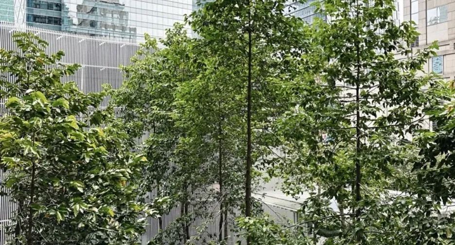 Condo en alquiler de estudio en Pathum Wan, Bangkok