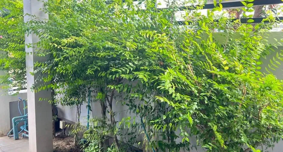 For sale 2 ベッドルーム house in Bang Lamung, Chonburi