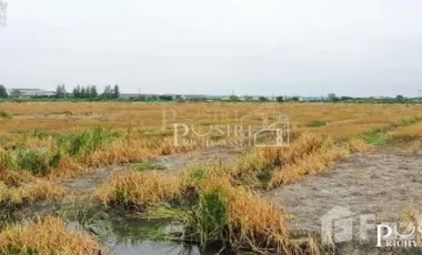 À vendre terrain à Mueang Samut Sakhon, Samut Sakhon