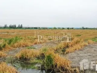 For sale land in Mueang Samut Sakhon, Samut Sakhon