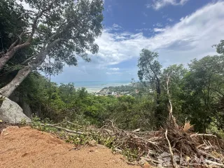 For sale land in Ko Samui, Surat Thani