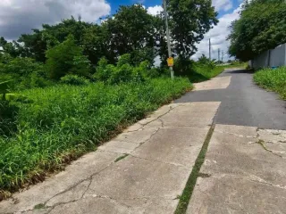 出售 土地 在 Thawi Watthana, 曼谷