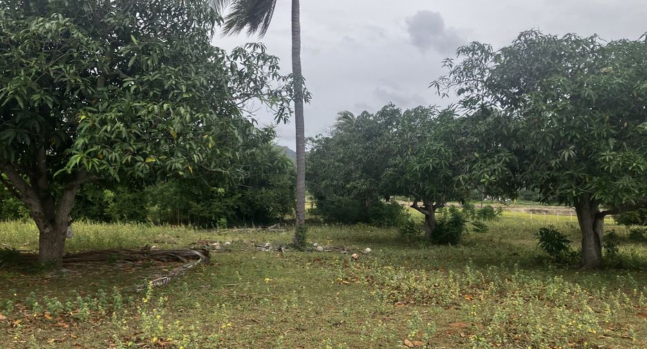 For sale land in Sam Roi Yot, Prachuap Khiri Khan