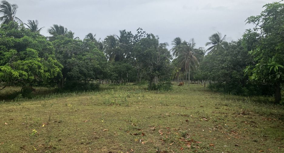 For sale land in Sam Roi Yot, Prachuap Khiri Khan