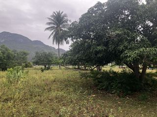For sale land in Sam Roi Yot, Prachuap Khiri Khan