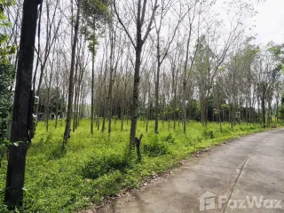 Продажа Участок в Такуа Па, Пханга
