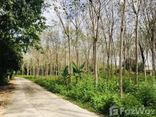 Продажа Участок в Такуа Па, Пханга