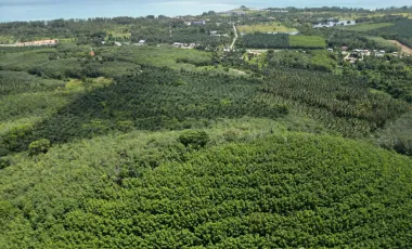 For sale land in Takua Pa, Phang Nga