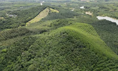 For sale land in Takua Pa, Phang Nga