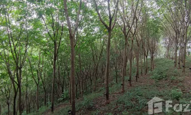 For sale land in Takua Pa, Phang Nga