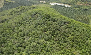 For sale land in Takua Pa, Phang Nga