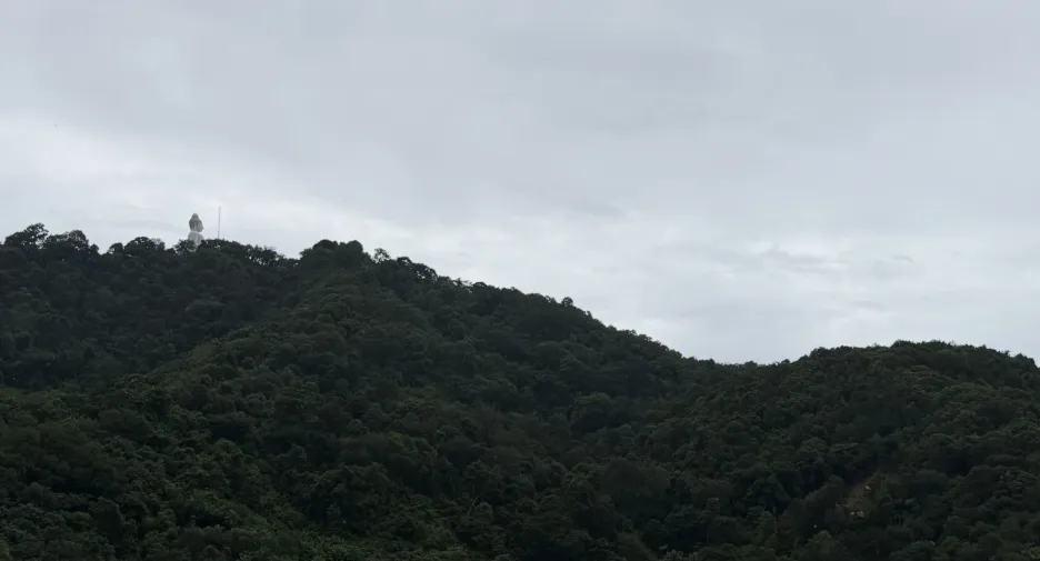 For sale land in Mueang Phuket, Phuket
