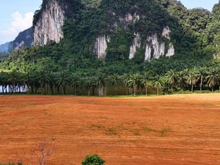 For sale land in Mueang Krabi, Krabi
