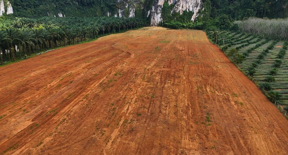 For sale land in Mueang Krabi, Krabi