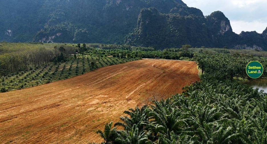 For sale land in Mueang Krabi, Krabi