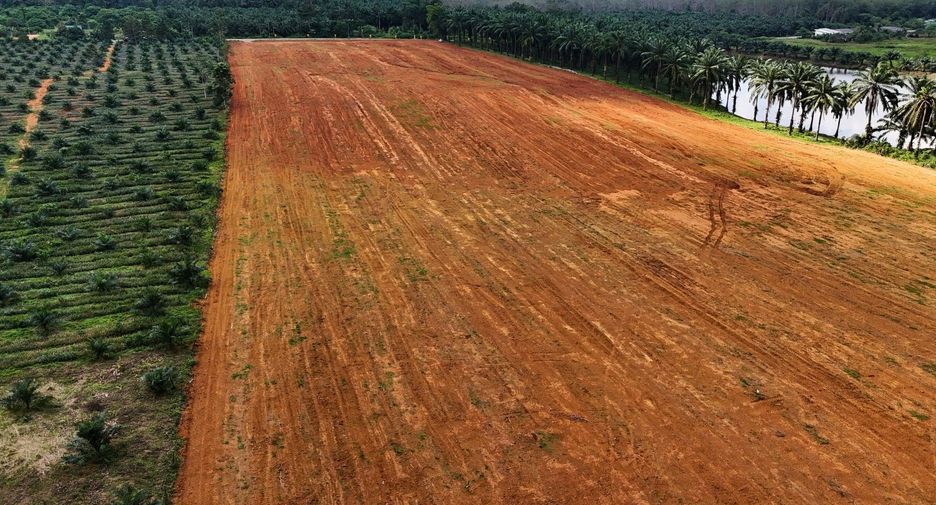 For sale land in Mueang Krabi, Krabi