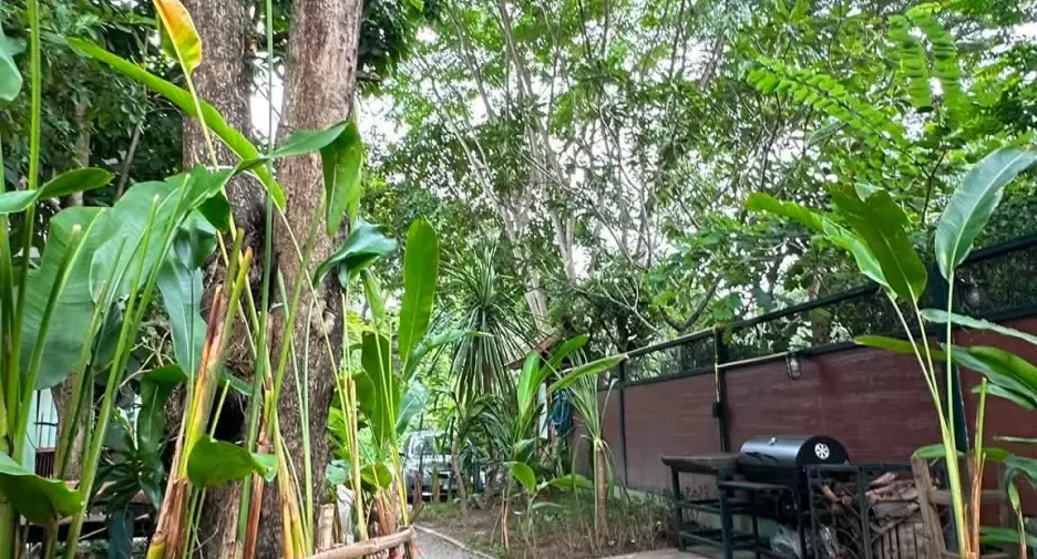 For rent 2 ベッドルーム house in Mueang Chiang Mai, Chiang Mai