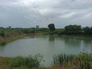 For sale land in Hua Hin, Prachuap Khiri Khan