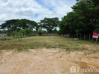 À vendre terrain à San Kamphaeng, Chiang Mai