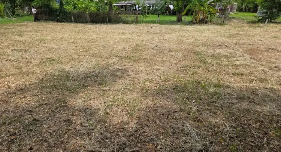 Terreno en venta en San Kamphaeng, Chiang Mai