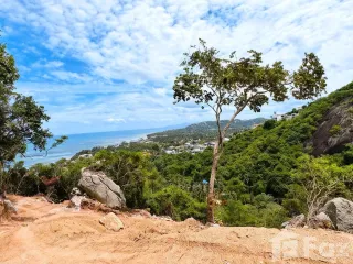 For sale land in Ko Samui, Surat Thani