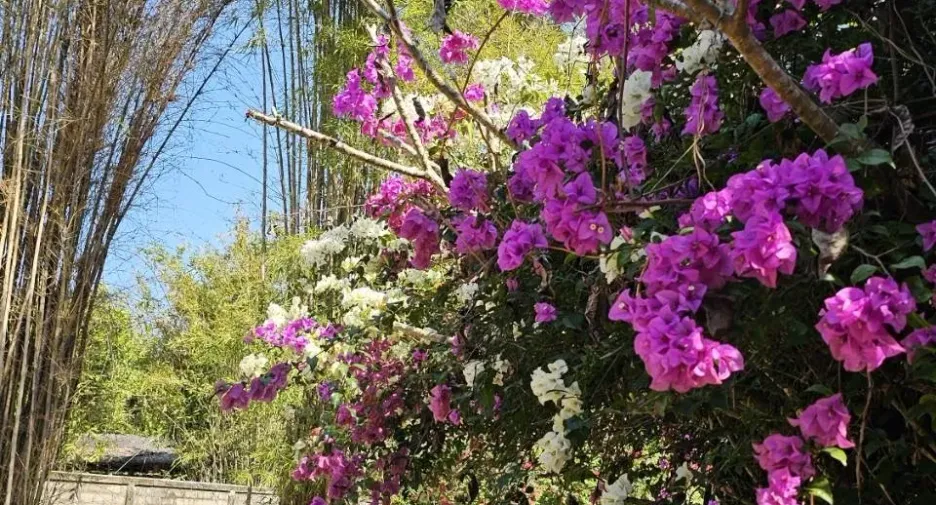 Terreno en venta en Long, Phrae