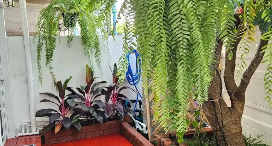 For sale and for rent 3 bedrooms townhouse in Bang Yai, Nonthaburi