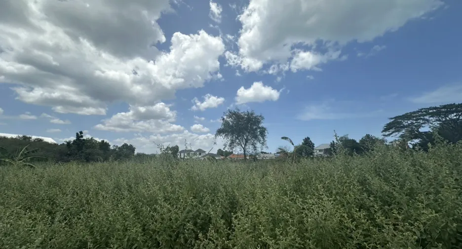 Terreno en venta en Hua Hin, Prachuap Khiri Khan