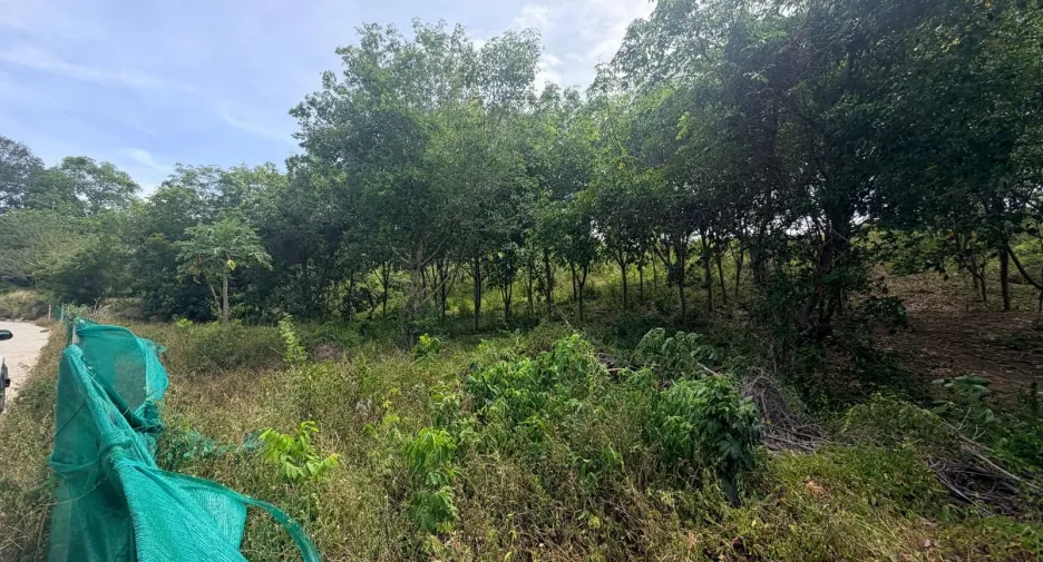 For sale land in Ko Samui, Surat Thani