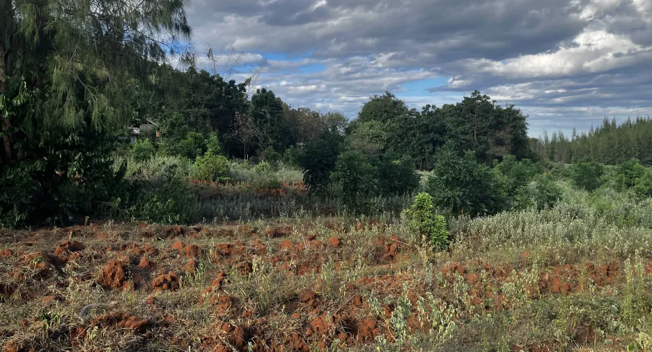 Terreno en venta en Hua Hin, Prachuap Khiri Khan