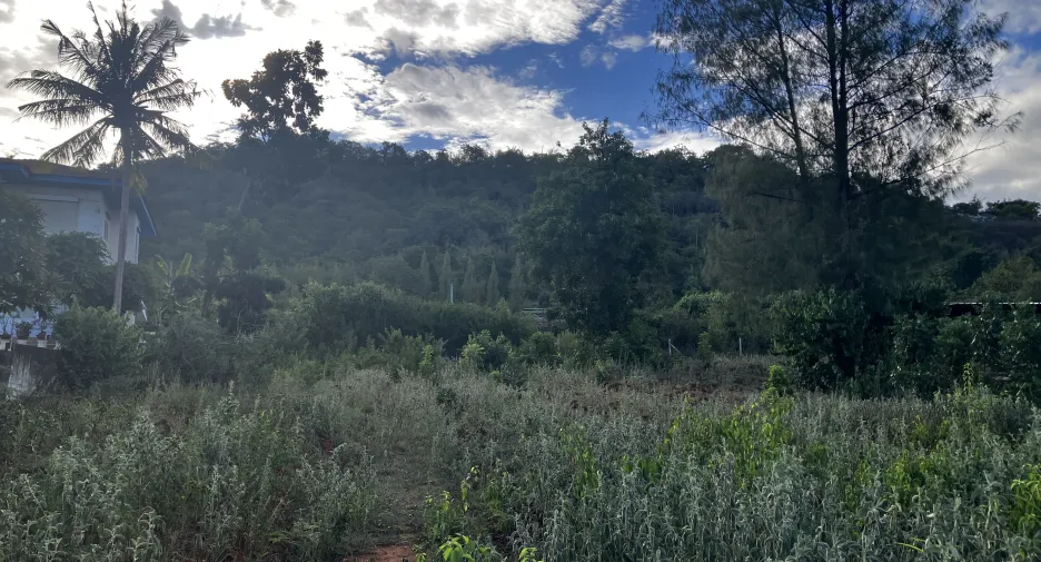 Terreno en venta en Hua Hin, Prachuap Khiri Khan