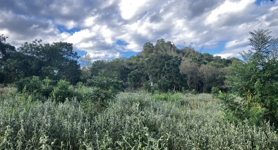 Terreno en venta en Hua Hin, Prachuap Khiri Khan
