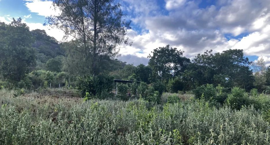 Terreno en venta en Hua Hin, Prachuap Khiri Khan