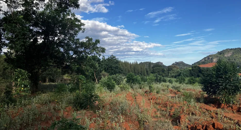 Terreno en venta en Hua Hin, Prachuap Khiri Khan