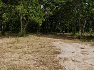 出售 土地 在 华欣, 班武里府