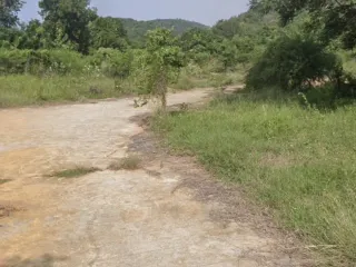 出售 土地 在 华欣, 班武里府