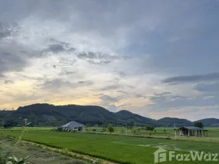 For sale 3 bedrooms house in Wiang Pa Pao, Chiang Rai
